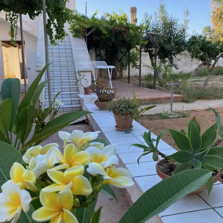 Semesterbostad A Casa Di Nini E Nene - Fronte Mare