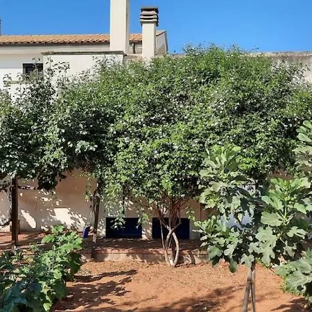 A Casa Di Nini E Nene - Fronte Mare * Mazara del Vallo